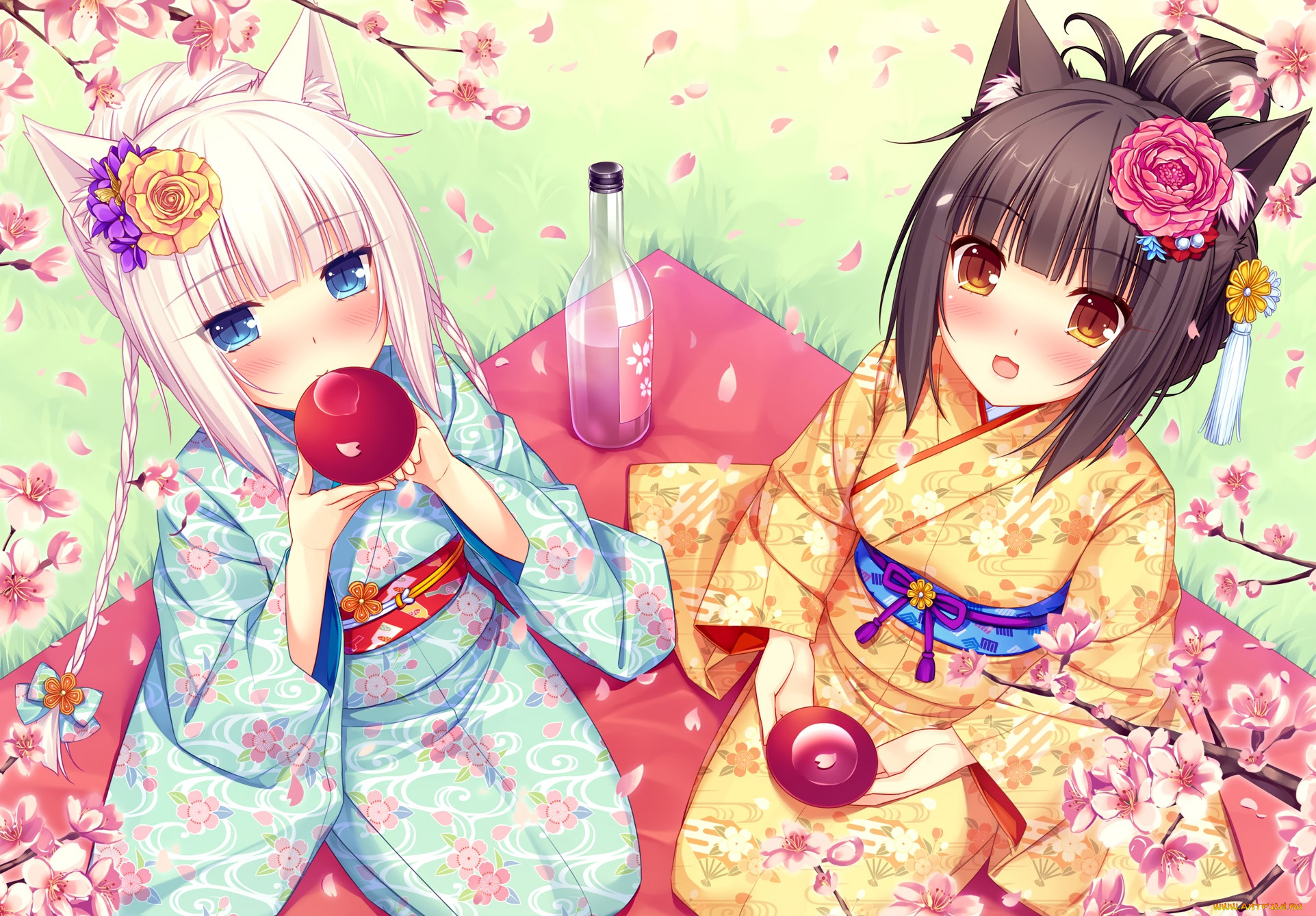 , nekopara, , , 